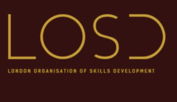 Implement your skills and realise your true potential with London Organisation of Skills Development